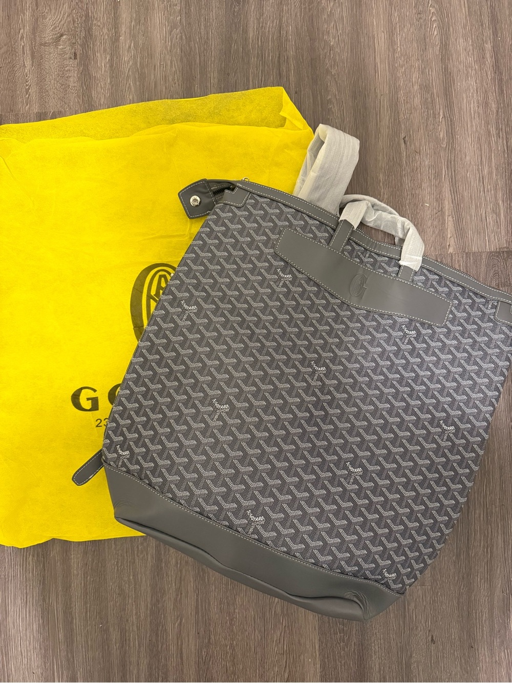 Gray Goyard backpack